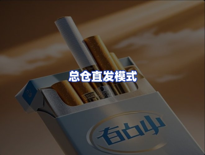 专业团队